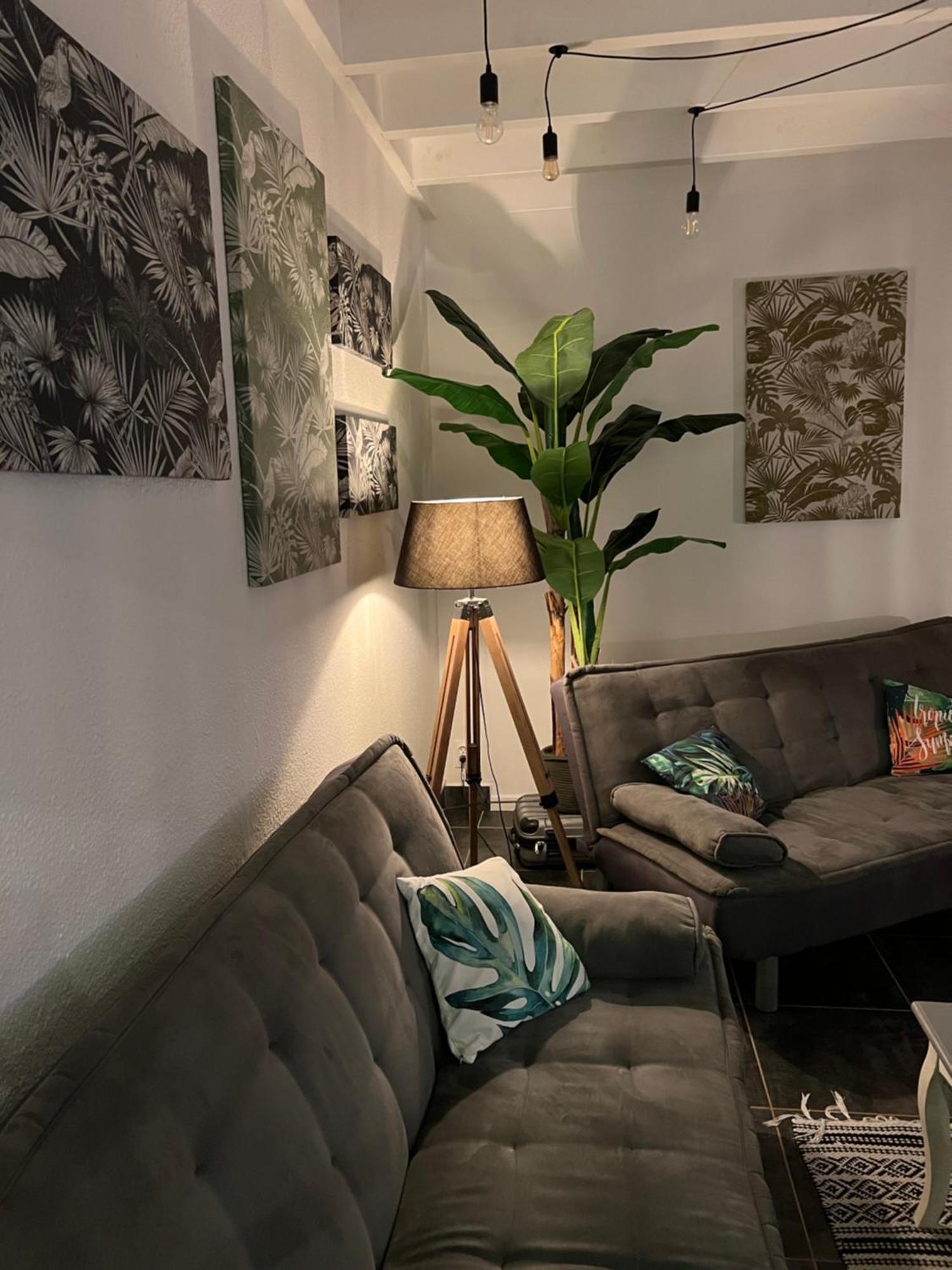 Appartement Spacieux Au Village Du Flamboyant Baie Nettle 외부 사진